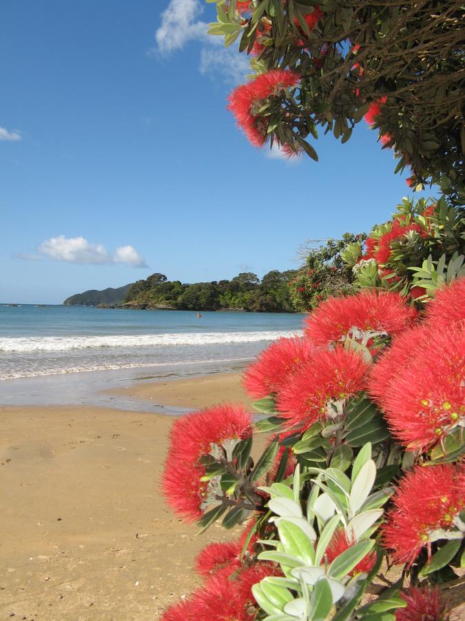 By The Bay Beachfront Apartments Mangonui Exterior foto