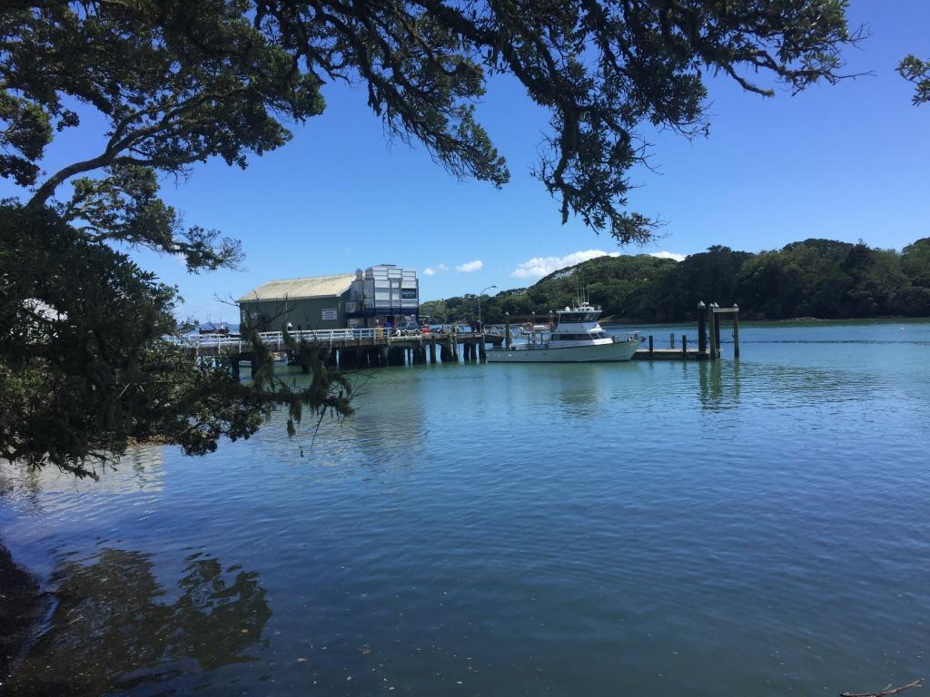 By The Bay Beachfront Apartments Mangonui Habitación foto